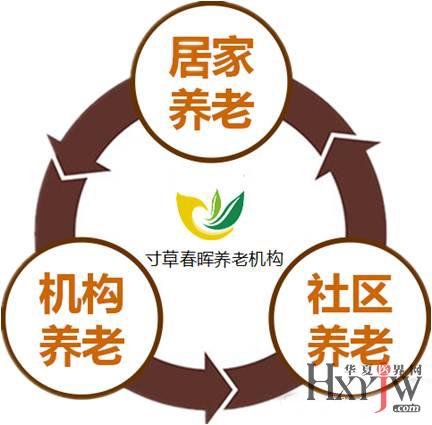 收入消费曲线_老年人收入消费状况(3)